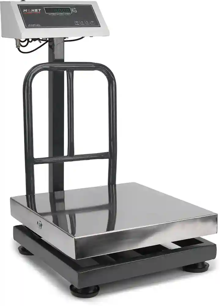 Stainless Steel Scale