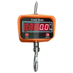 1 Ton Crane Scale